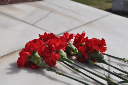 9 МАЯ И КРАСНАЯ ЗВЕЗДА