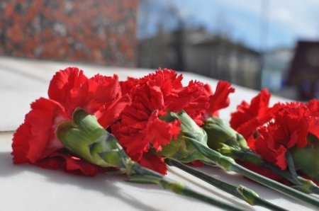 9 МАЯ И КРАСНАЯ ЗВЕЗДА