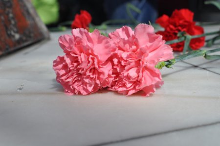 9 МАЯ И КРАСНАЯ ЗВЕЗДА