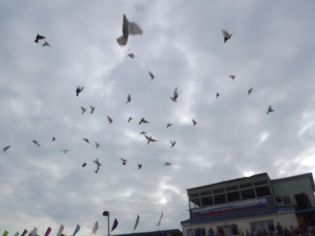 День молодежи - «Карнавал»