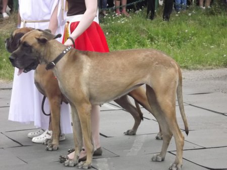 День молодежи - «Карнавал»