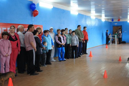 "Веселые старты" "Веселые старты"