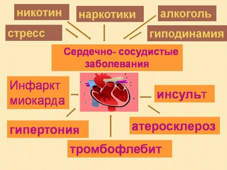 О здоровом сердце