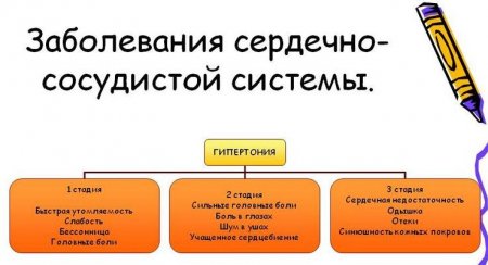 О здоровом сердце