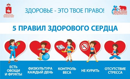 О здоровом сердце