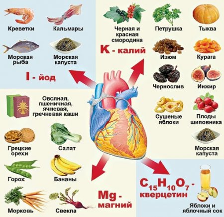 О здоровом сердце