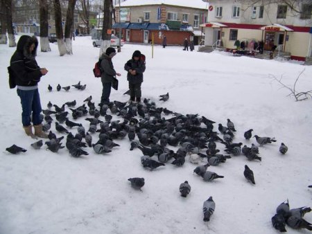 Четвертый этап Четвертый этап