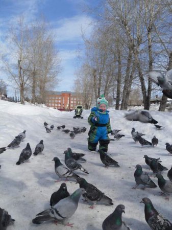 Четвертый этап Четвертый этап