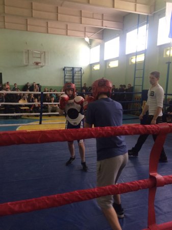 Турнир по боксу