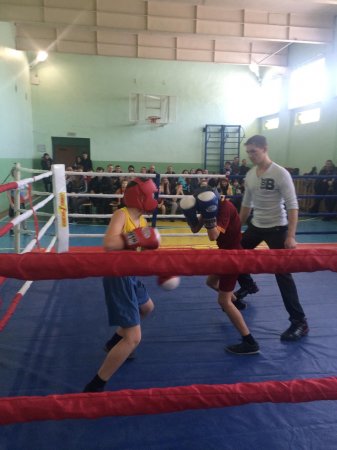 Турнир по боксу