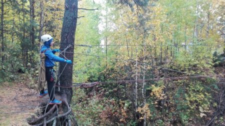 Дистанция - пешеходная-группа