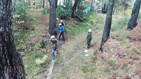 Дистанция - пешеходная-группа