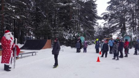 Открытие городского Кедрового парка