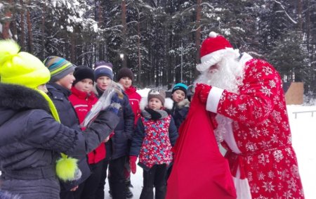 Открытие городского Кедрового парка