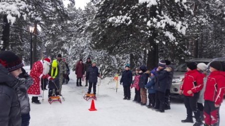 Открытие городского Кедрового парка
