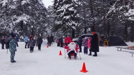 Открытие городского Кедрового парка