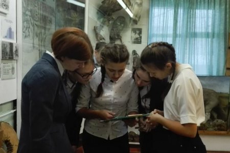 «Эко-Квест» «Эко-Квест»