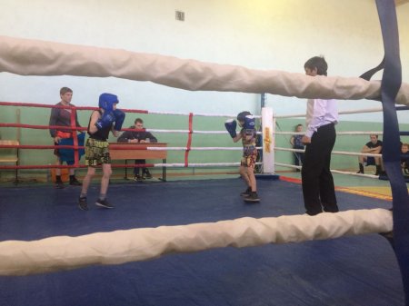 Турнир по боксу