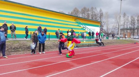 IV спартакиада трудовых коллективов IV спартакиада трудовых коллективов