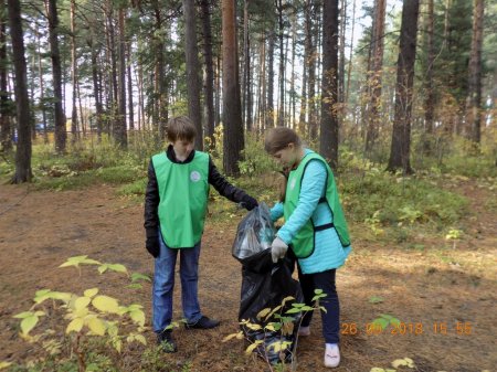 «Чистый парк» «Чистый парк»