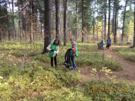 «Чистый парк» «Чистый парк»
