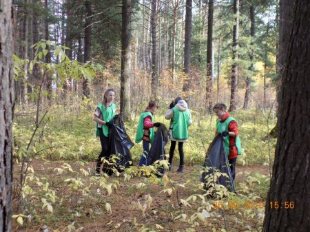 «Чистый парк» «Чистый парк»