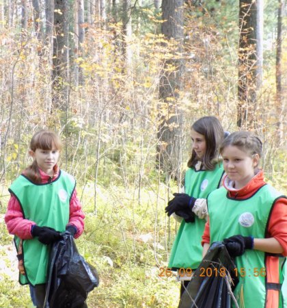 «Чистый парк» «Чистый парк»