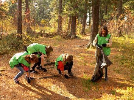 «Чистый парк» «Чистый парк»