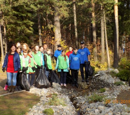 «Чистый парк» «Чистый парк»