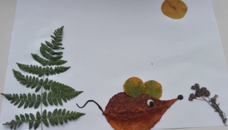 «Осенние узоры»