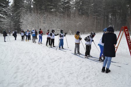 Сезон открыт