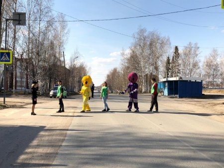 «Соблюдайте ПДД!»  «Соблюдайте ПДД!»