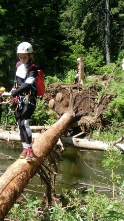 Школа жизни с ранних лет Школа жизни с ранних лет