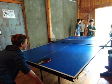 Любители настольного тенниса Любители настольного тенниса