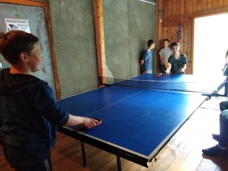 Любители настольного тенниса Любители настольного тенниса