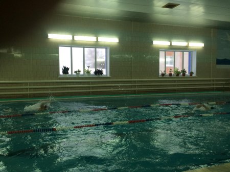 Cоревнования по плаванию Cоревнования по плаванию