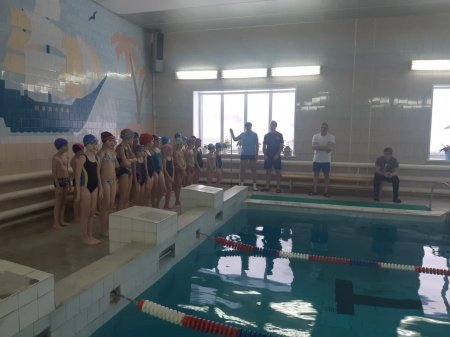 Cоревнования по плаванию Cоревнования по плаванию