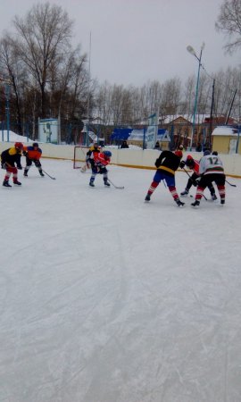 Турнир по хоккею Турнир по хоккею