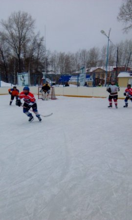 Турнир по хоккею Турнир по хоккею