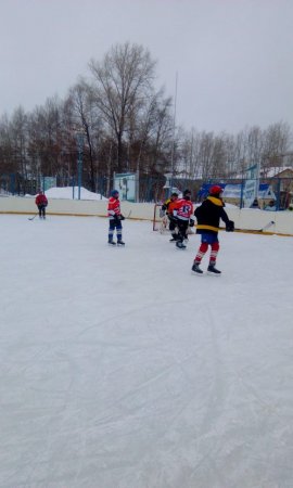 Турнир по хоккею Турнир по хоккею