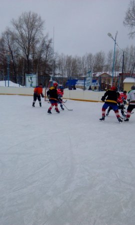 Турнир по хоккею Турнир по хоккею
