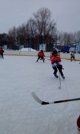 Турнир по хоккею Турнир по хоккею