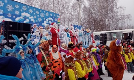 Шествие дедов морозов и снегурочек Шествие дедов морозов и снегурочек