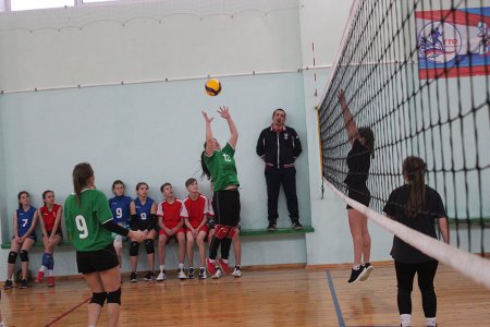 Новогодний калейдоскоп побед Новогодний калейдоскоп побед