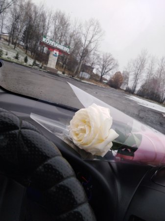 Фотоконкурс «Жизнь маленького города» номинация «О родной земле с любовью!» 18+