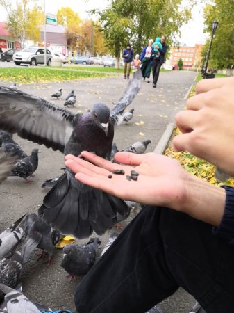 Фотоконкурс «Жизнь маленького города» - работы вне конкурса