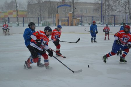 Турнир по хоккею на приз А.Н.Френовского