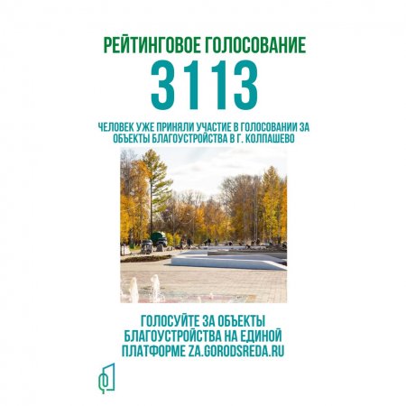 В Колпашевском районе свои голоса за будущее благоустройство отдали 3113 человек