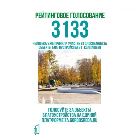 В Колпашевском районе на 27 мая в голосовании за объекты благоустройства приняли участие 3133 человека